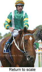 Return to scale (14391 bytes)