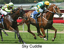 Sky Cuddle (19369 bytes)