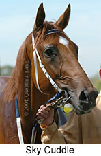 Sky Cuddle (12046 bytes)