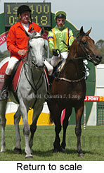 Return to scale (16937 bytes)