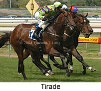 Tirade (15164 bytes)