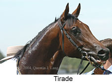 Tirade (10239 bytes)