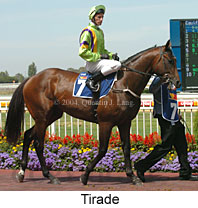 Tirade (18143 bytes)