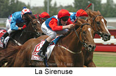 La Sirenuse (15174 bytes)