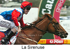 La Sirenuse (16074 bytes)