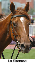 La Sirenuse (13331 bytes)