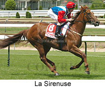 La Sirenuse (17423 bytes)