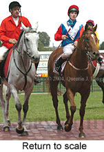 Return to scale (15275 bytes)