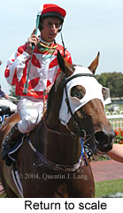 Return to scale (13927 bytes)