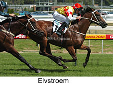 Elvstroem (18814 bytes)