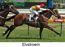 Elvstroem (17671 bytes)