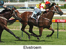 Elvstroem (19162 bytes)