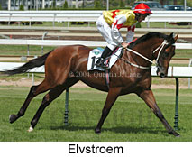 Elvstroem (16525 bytes)