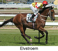 Elvstroem (15496 bytes)