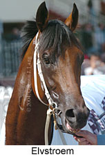 Elvstroem (12187 bytes)