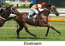 Elvstroem (16628 bytes)