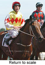 Return to scale (13989 bytes)