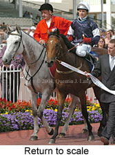 Return to scale (18933 bytes)