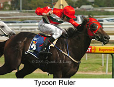 Tycoon Ruler (16766 bytes)