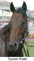 Tycoon Ruler (12266 bytes)