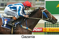 Gazania (14926 bytes)