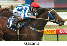 Gazania (15156 bytes)