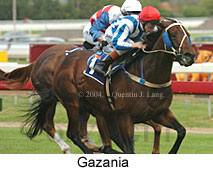 Gazania (15390 bytes)