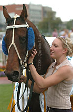 Gazania (12802 bytes)