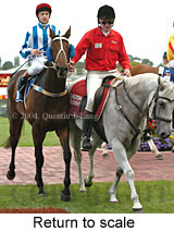 Return to scale (15941 bytes)