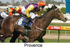 Provence (17300 bytes)