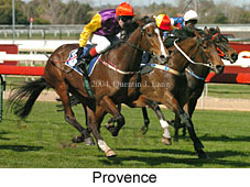 Provence (19115 bytes)