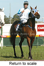 Return to scale (14997 bytes)