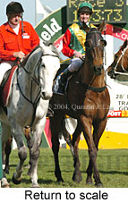 Return to scale (17723 bytes)