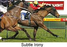 Subtle Irony (19404 bytes)