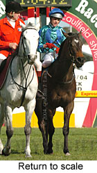 Return to scale (18564 bytes)