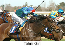 Tahni Girl (17011 bytes)