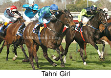 Tahni Girl (18747 bytes)