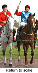 Return to scale (16096 bytes)