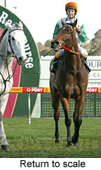 Return to scale (15565 bytes)