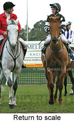 Return to scale (15995 bytes)