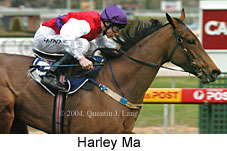 Harley Ma (14632 bytes)