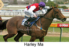 Harley Ma (14856 bytes)