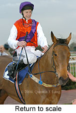 Return to scale (13633 bytes)