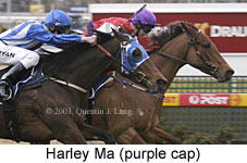 Harley Ma (14755 bytes)