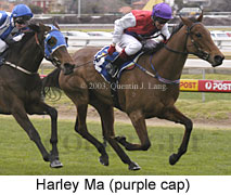 Harley Ma (16830 bytes)