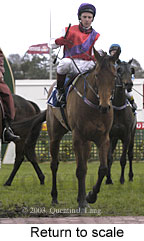 Return to scale (13321 bytes)