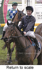 Return to scale (14660 bytes)