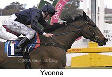 Yvonne (13336 bytes)