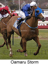 Oamaru Storm (14203 bytes)