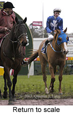 Return to scale (13424 bytes)